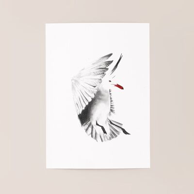 Affiche oiseau "Black Bird" A5 - tirages limités et signés