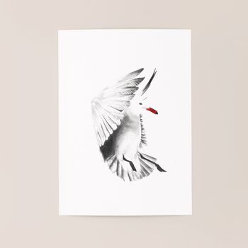 Affiche oiseau "Black Bird" A5 - tirages limités et signés 1