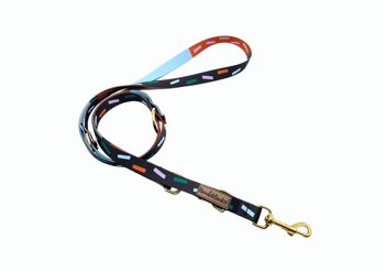 Laisse pour chien Juno (rPet) 2m or/argent 1