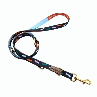 Dog leash Juno (rPet) 2m gold/silver