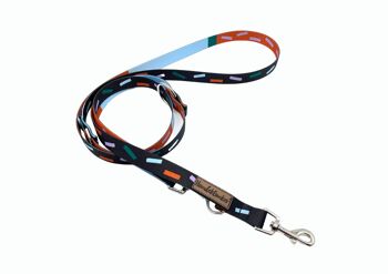 Laisse pour chien Juno (rPet) 2m or/argent 2