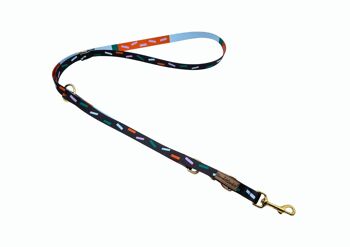 Laisse pour chien Juno (rPet) 2m or/argent 3