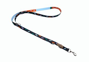 Laisse pour chien Juno (rPet) 2m or/argent 4