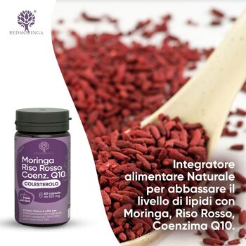 Complément Alimentaire Riz Rouge, Coenzyme Q10, Fenugrec, Moringa, Cholestérol 7