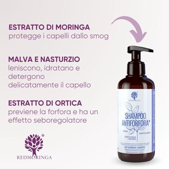 EcoBio Moringa Shampooing 99% Naturel Antipelliculaire | Moringa et Capucine 3