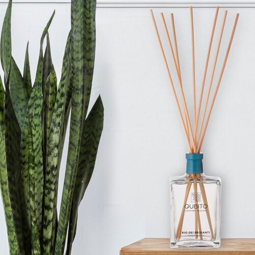 RIO DEI BRIGANTI (250 ML) - HOME DIFFUSER WITH STICKS - HOME FRAGRANCE - MADE IN ITALY