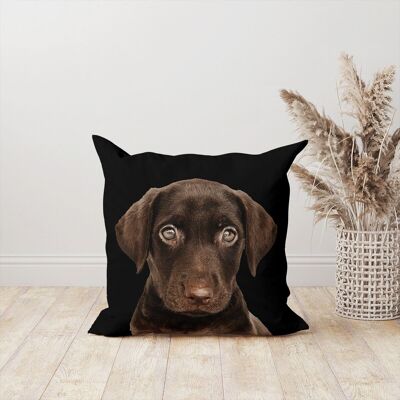 Square velvet labrador dog/puppy cushion