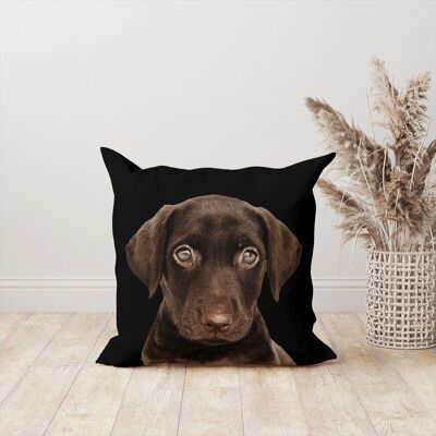 Coussin chien/chiot labrador carré velours