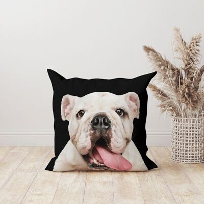 Velvet bulldog dog cushion