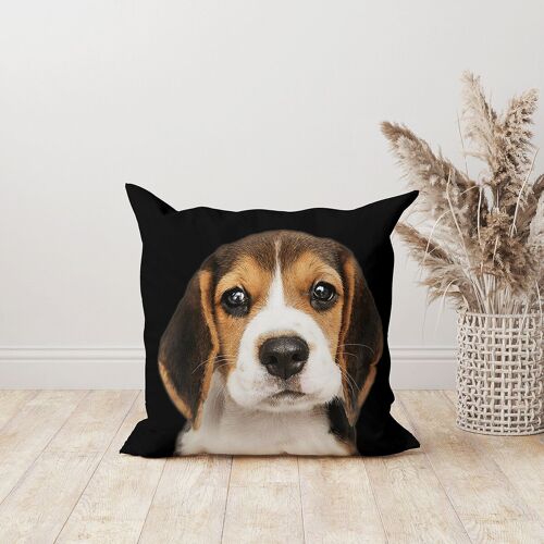 Coussin déco chien beagle velours noir