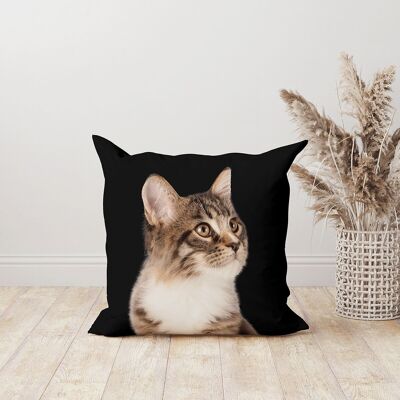 Decorative square velvet cat cushion