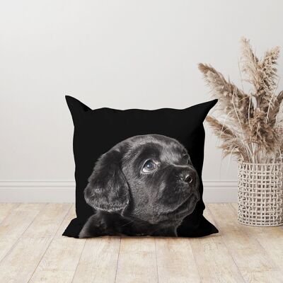 Black square baby labrador decorative cushion