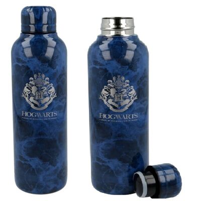 Bouteille métal - HARRY POTTER 515ml