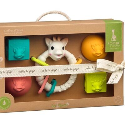 So'Pure early learning box (100% natural rubber)
