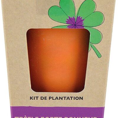 Mini kit de plantación de tréboles de 4 hojas