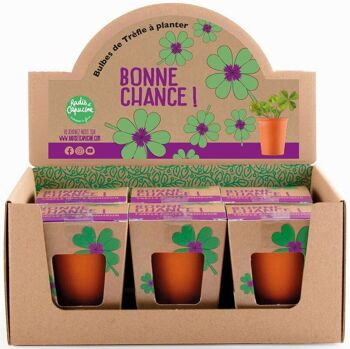 Mini Kit De Plantation Trèfles 4 Feuilles 2