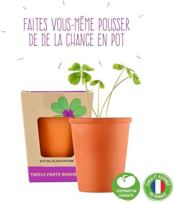 Mini Kit De Plantation Trèfles 4 Feuilles 3