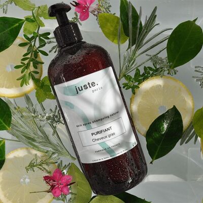 Purifying Conditioner - Oily Hair