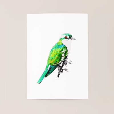 Bird poster "Green Bird" A5 - limited and signed prints