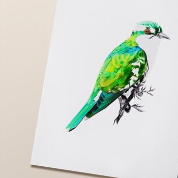 Affiche oiseau "Green Bird" A5 - tirages limités et signés 2