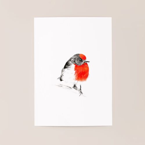 Affiche oiseau "Red Bird" A5 - tirages limités et signés