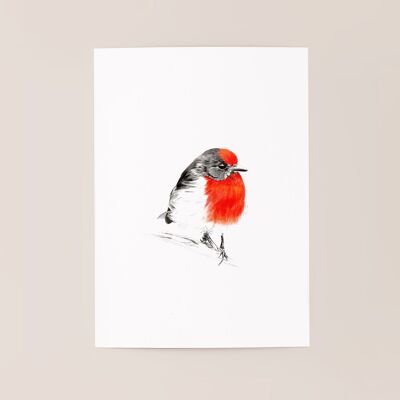 Bird poster "Red Bird" A5 - limited and signed prints