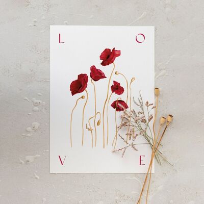 Botanical poster "LOVE" A5 - Poppy collection