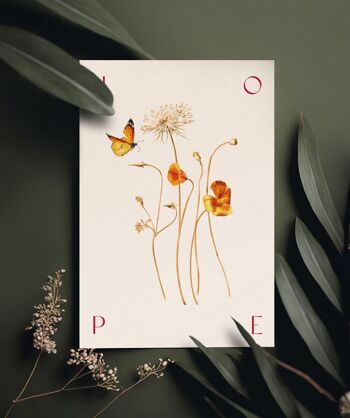 Affiche botanique "HOPE" A5 - Pavot collection 2