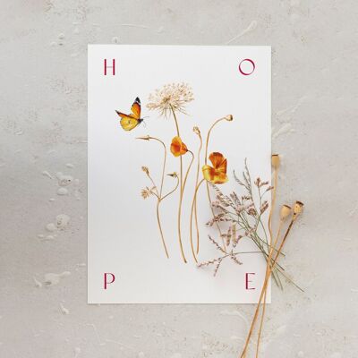 Botanisches Poster „HOPE“ A5 – Mohnsammlung