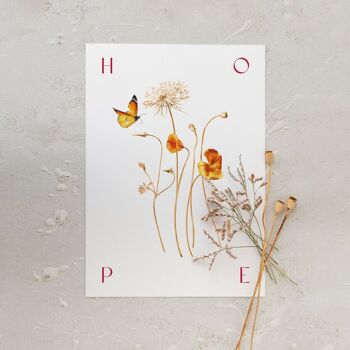 Affiche botanique "HOPE" A5 - Pavot collection 1