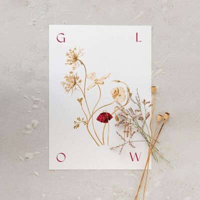 Botanisches Poster „GLOW“ A5 – Mohn-Kollektion