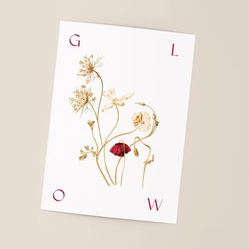 Affiche botanique "GLOW" A5 - Pavot collection 3