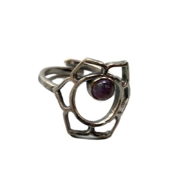 Anillo del chakra sacro