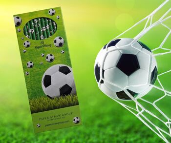 Pailles en papier de football – 20 boîtes de 38 pailles – 100 % biodégradables et fabriquées au Royaume-Uni