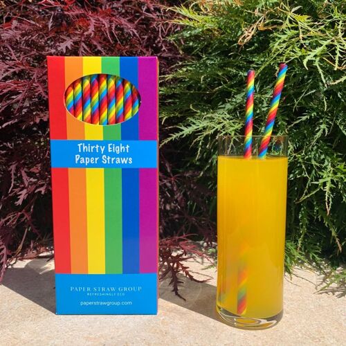 Rainbow Paper Drinking Straws - 20 Box's of 38 Eco Friendly Straws
