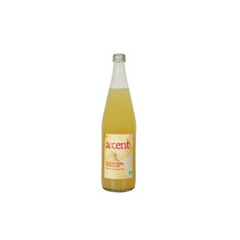 Accent Ginger Beer Bio 70cl 2