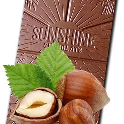 Bulk Chocolate Bar - Organic and Fair Trade Roasted Hazelnut Milk