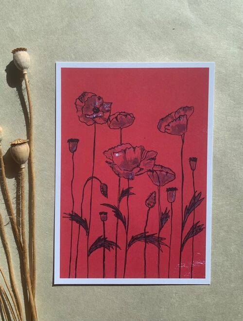 Postkarte Klatschmohn