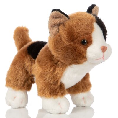 Cucciolo di gatto (Calico), in piedi - 13 cm (altezza) - Parole chiave: gatto, gattino, gatto calico, animale domestico, peluche, peluche, peluche, peluche