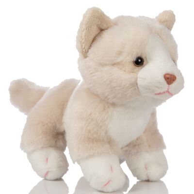 Cucciolo di gatto (beige-bianco), in piedi - 13 cm (altezza) - Parole chiave: gatto, gattino, animale domestico, peluche, peluche, peluche, peluche