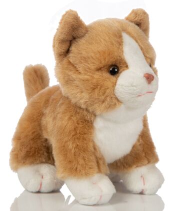 Bébé chat (marron doré), debout - 13 cm (hauteur) - Mots clés : chat, chaton, animal de compagnie, peluche, peluche, peluche, doudou 1