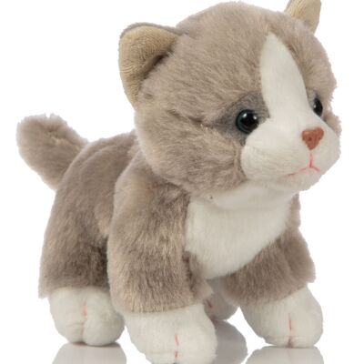 Cucciolo di gatto (grigio), in piedi - 13 cm (altezza) - Parole chiave: gatto, gattino, animale domestico, peluche, peluche, peluche, peluche