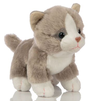 Bébé chat (gris), debout - 13 cm (hauteur) - Mots clés : chat, chaton, animal de compagnie, peluche, peluche, peluche, doudou 1