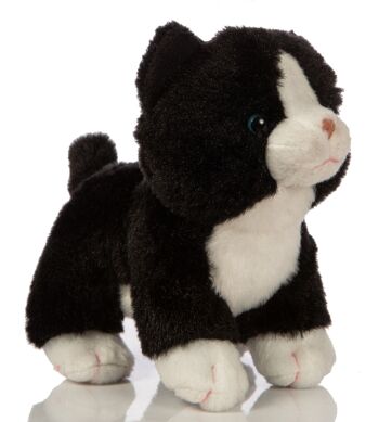 Bébé chat (noir et blanc), debout - 13 cm (hauteur) - Mots clés : chat, chaton, animal de compagnie, peluche, peluche, peluche, doudou 1