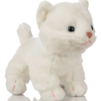 Cucciolo di gatto (bianco), in piedi - 13 cm (altezza) - Parole chiave: gatto, gattino, animale domestico, peluche, peluche, peluche, peluche