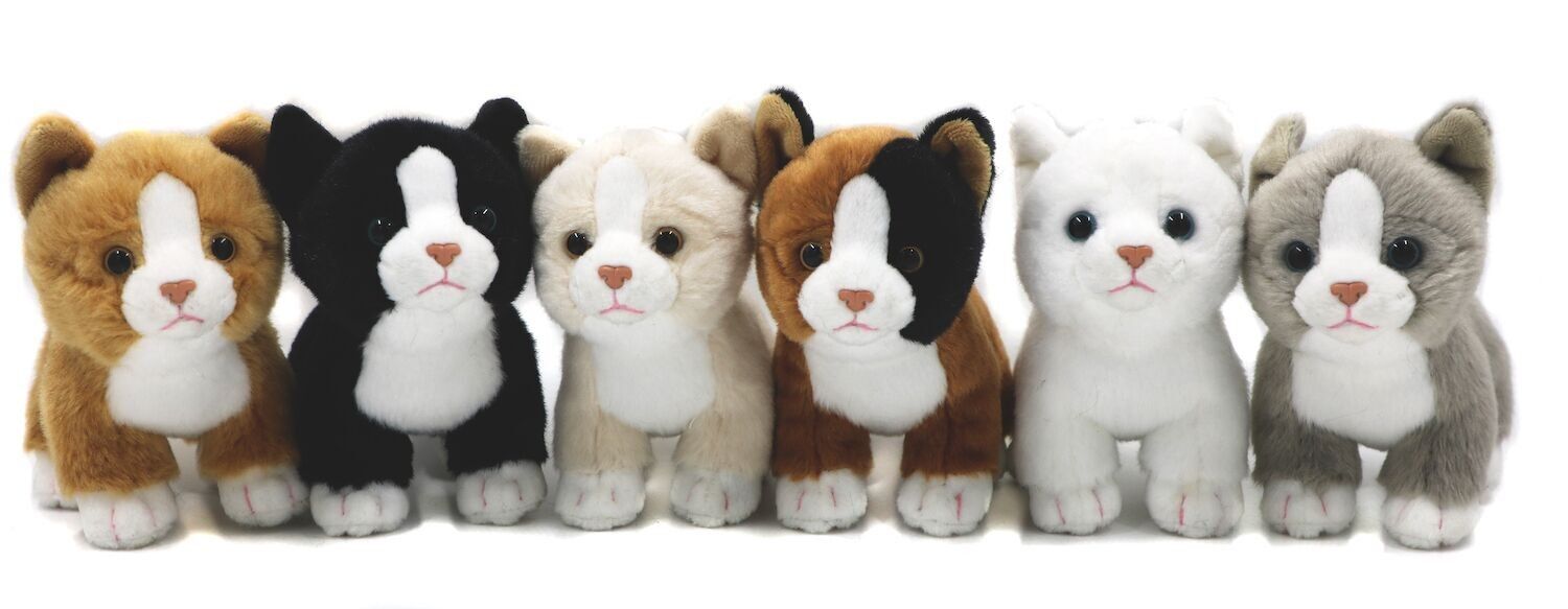 Gatos bebés (juego de 6), de pie, cada uno de 13 cm (altura) - Palabras clave: gato, gatito, mascota, peluche, peluche, peluche, peluche