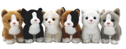 Katzen-Babys (6-teiliges Set), stehend  - je 13 cm (Höhe) - Keywords: Katze, Kätzchen, Haustier, Plüsch, Plüschtier, Stofftier, Kuscheltier