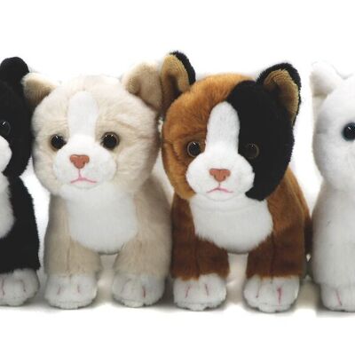 Neonati gatto (set da 6), in piedi - ciascuno 13 cm (altezza) - Parole chiave: gatto, gattino, animale domestico, peluche, peluche, peluche, peluche