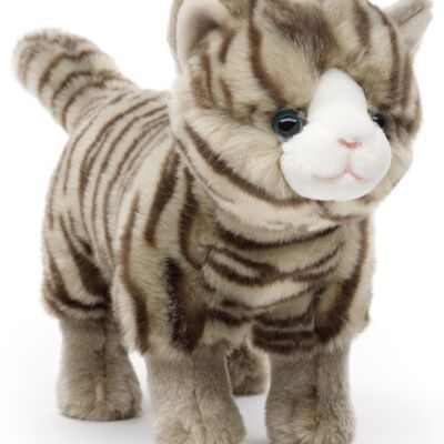 Chat, debout (tigré gris) - 35 cm (longueur) - Mots clés : chat, chaton, animal de compagnie, peluche, peluche, peluche, peluche