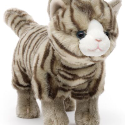 Gatto, in piedi (tabby grigio) - 35 cm (lunghezza) - Parole chiave: gatto, gattino, animale domestico, peluche, peluche, animale di peluche, peluche